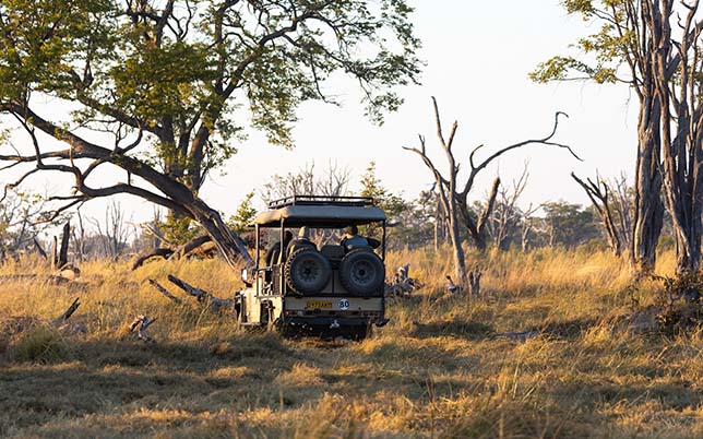 mobile safaris in botswana
